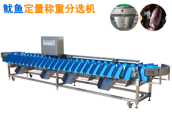 魷魚定量稱重分選機 托盤式分選機