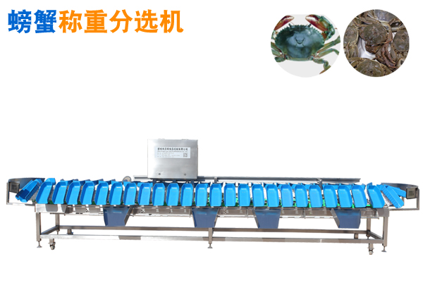 活螃蟹定量稱重分選機 托盤式重量分選機