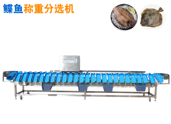 重量分選機(jī) 碟魚稱重分選機(jī)