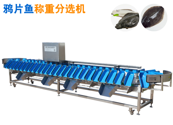 重量分選機(jī) 鴉片魚稱重分選機(jī)