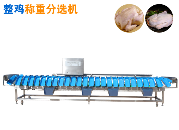 重量分選機(jī) 整雞稱重分選機(jī)