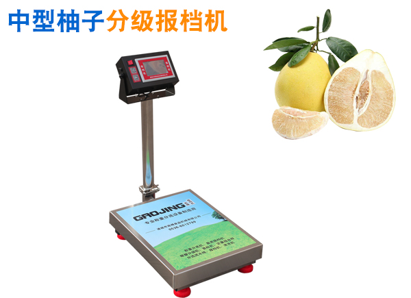 柚子分級報檔機 水果分級機  中大型水果分選機 中大型水果經(jīng)濟型分揀設(shè)備
